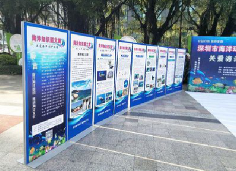 江安KT板的种类和知识。